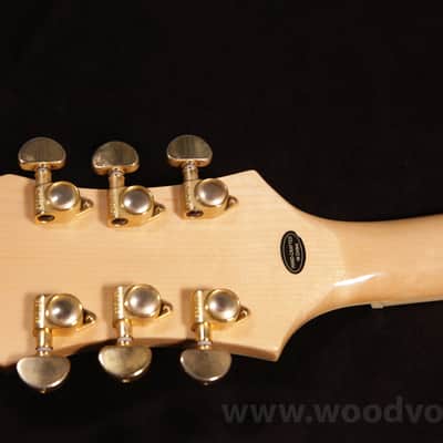 Epiphone Sheraton II 2010 image 8