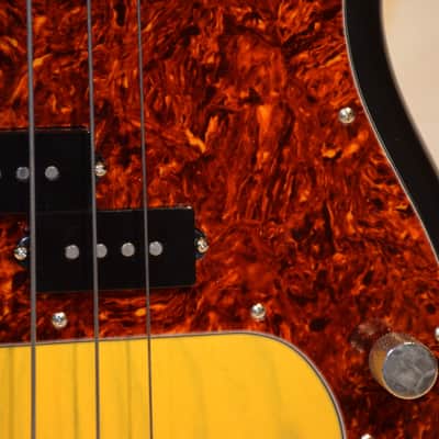 Atkinson P Bass 2012 Sunburst image 14