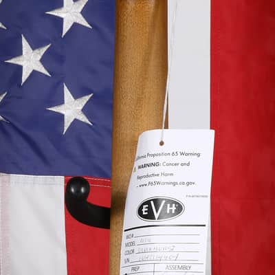 EVH Frankenstein Relic - Silverburst image 8