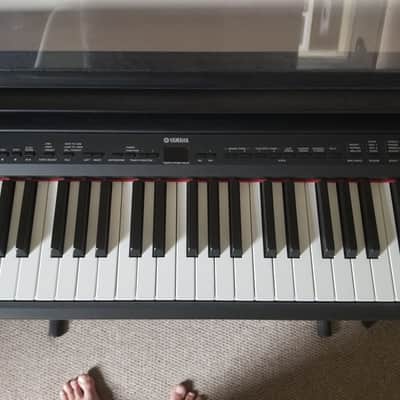 Yamaha P155B 2010s Black image 4