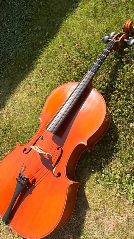 Westbury Eastman cello 4/4 - Hand varnish image 1