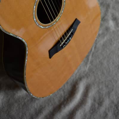 Taylor DMSM 914ce Dave Matthews Signature image 12