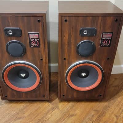 Cerwin Vega RE-30 Series 250 Watt 3 Way Floor Standing Speakers Sound Great image 1