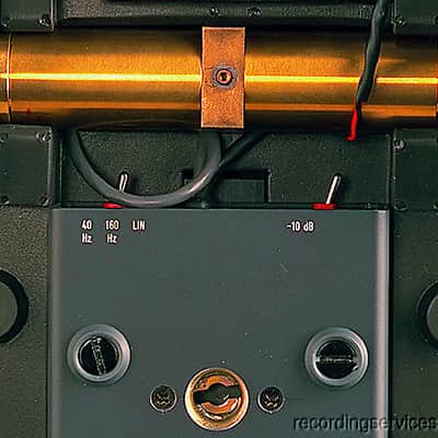 Neumann KU 100 Dummy Head Microphone with Aluminum Case - Fritz Binaural image 4