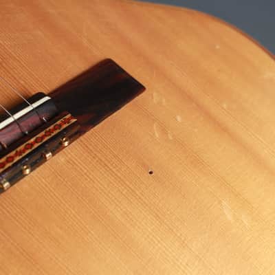 1970's Giannini Craviola Brazilian AWKN6 image 10