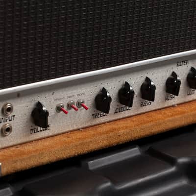 Dumble Dumbleland Special 150W 1978 with flight case image 2