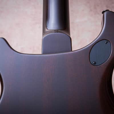PRS USA Paul Reed Smith McCarty 594 Ltd Ed. Mango Top #1 of 200 "Black Gold Burst" (2026) image 16
