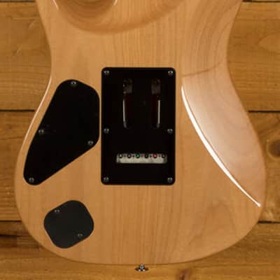 Ibanez TQMS1 Tom Quayle AZS Series Prestige - Rosewood - Celeste Blue image 4