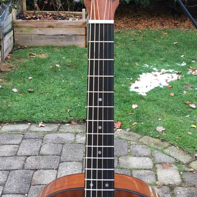 Zager Acoustic-Electric "Parlor" (Truly a 12-Fret 00-000 Size) 2020 Mahogany image 3