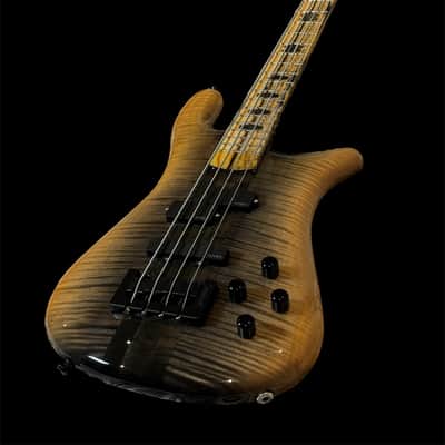 SPECTOR NS 2 - USA 2021 - 4 STRINGS image 9