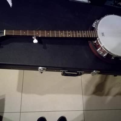 Immagine Banjo Washburn B8k - 6