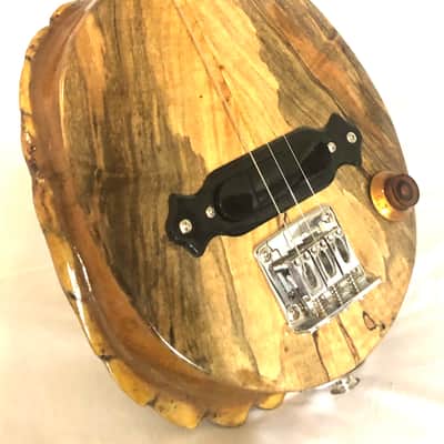 3 string Turtle shell slide guitar image 4