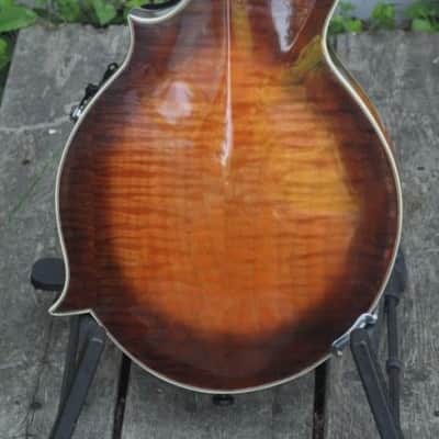 Brad Donaldson F-style mandolin, 1994 image 4