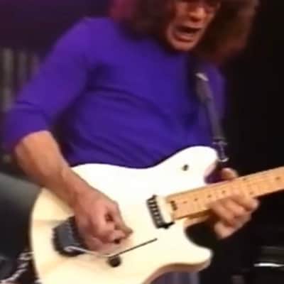 Peavey Wolfgang  W/ Steinberger Trans Trem image 12
