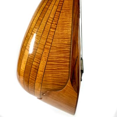 Pasquale Vinaccia Mandolin from 1883 image 6