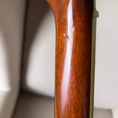 Martin Trey Anastasio Signature Edition DC Fishman Ellipse image 16