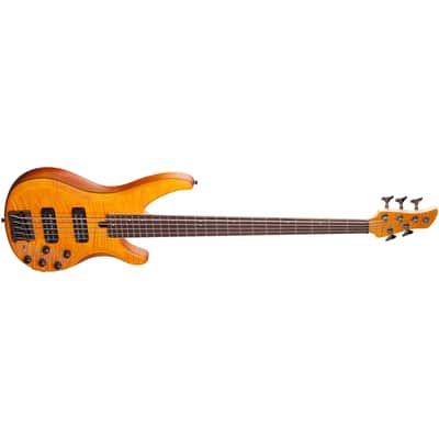 Yamaha TRBX605FM 5-String Bass Guitar - Matte Amber image 4