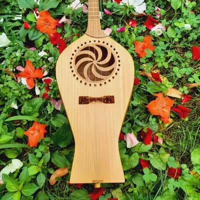 Georgian folk music instrument Panduri | String instrument Panduri | ფანდური | Fanduri image 1