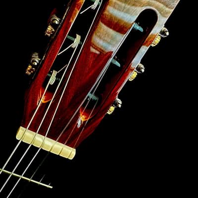Nahum Herrera Lattice Concert Guitar 2024-Cedar/Ancient Dark Cocobolo image 8