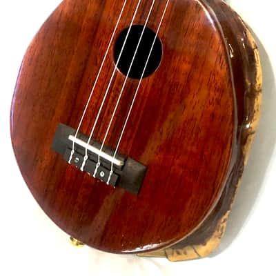 Turtle Shell Tenor Ukulele image 1