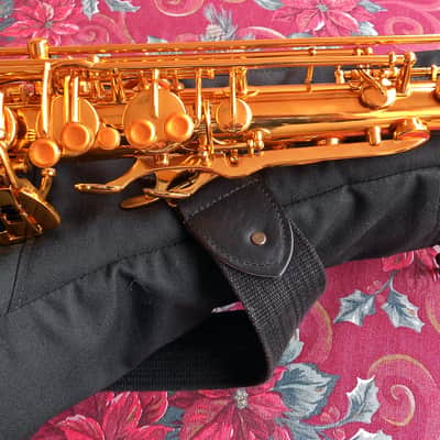 TaiShan Winds Model 7000 Professional Tenor Saxophone Gold-Lacquered Brass image 15