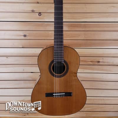 Cordoba Dolce 7/8th Size Nylon-String Classical Acoustic Guitar image 2