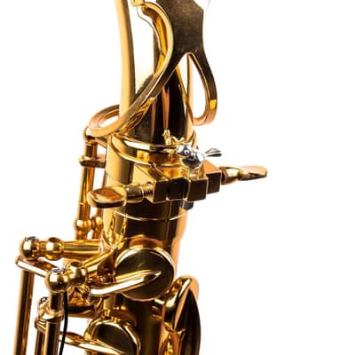 Sax Booster Accessory - Upgrade Your Sax Tone - Jazz Classical Saxophone Gear (925 Silver, Bird Style) image 4