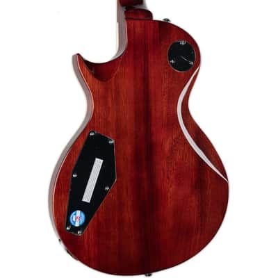 Ltd   Ec 256 Fm Dark Brown Sunburst image 3