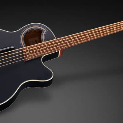 Warwick Alien Standard 5-String Acoustic Bass w/ Fishman Piezo System w/ Bag Solid Black Satin WAC1575 93PP SSA FR image 4