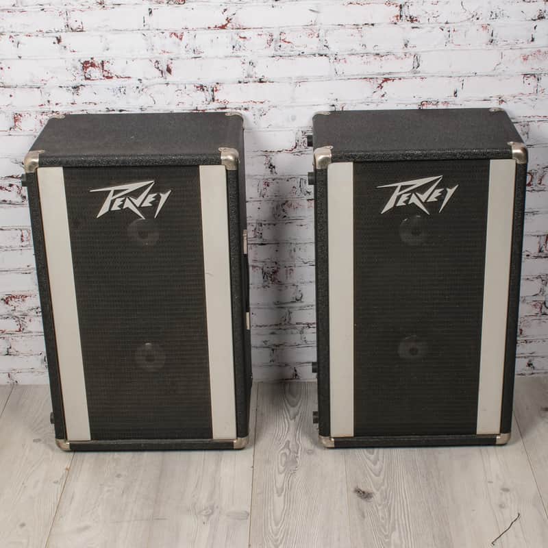 Peavey Vintage 70's 210 Column PA Speakers, Pair x9463 (USED) image 1