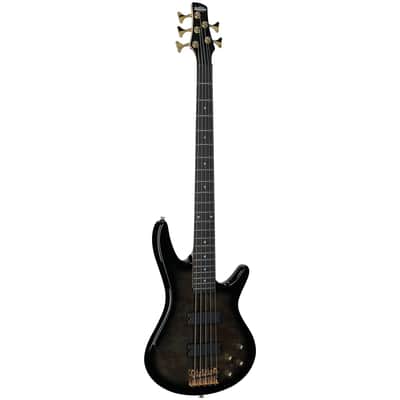 Ibanez GSR205PC Gio Electric Bass, 5-String, Transparent Pale Black Burst image 2