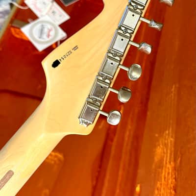 2005 Fender Stratocaster "CANDY GREEN" Eric Clapton Signature Model + OHSC image 9
