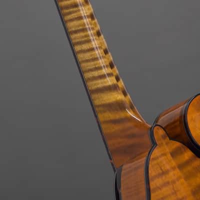 Northfield Big Mon w/ Engelmann Top in Amber (#B260885) image 11