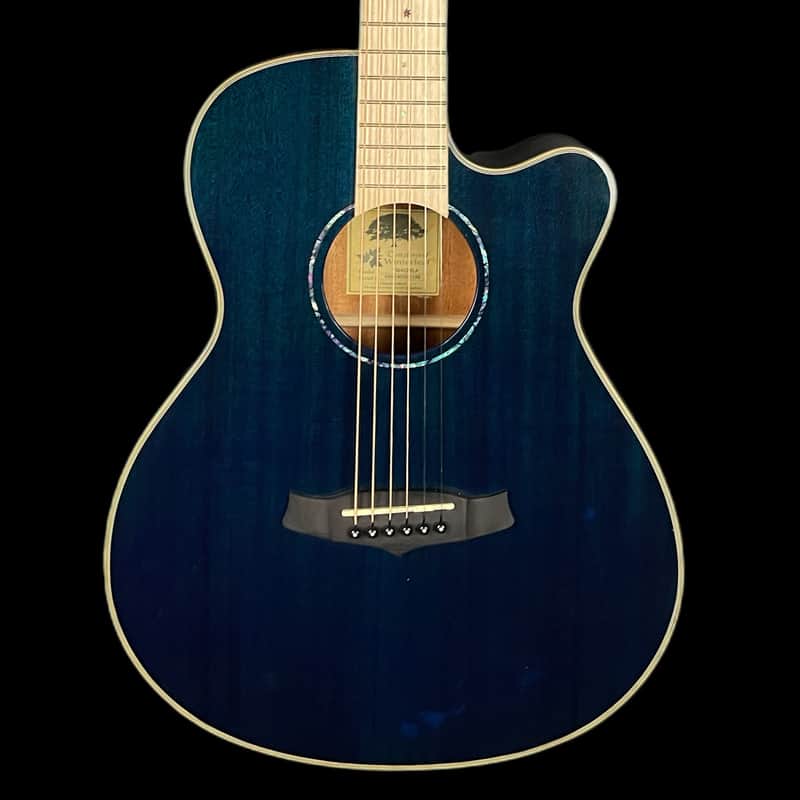 Immagine Tanglewood Winterleaf TW4CEBLA Electro-acoustic Guitar - 1