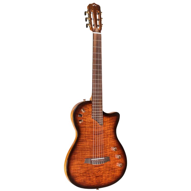 Cordoba Stage Nylon Acoustic image 1