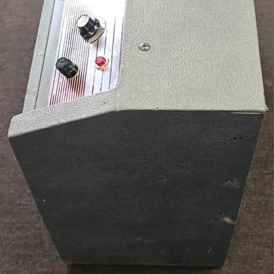 Epiphone Galaxie Reverb Tremolo Tube Amp image 4