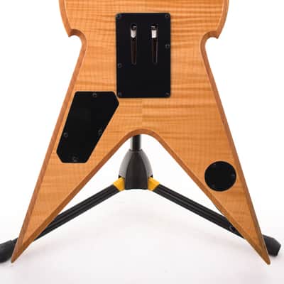 Wylde Audio Warhammer FR Norse Dragon 2026 RawTop 3849gr image 11