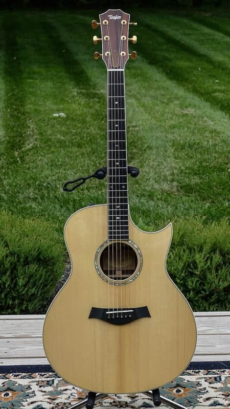 Taylor Custom Madagascar Rosewood Grand Symphony - $4000 (was who-knows-how-much)