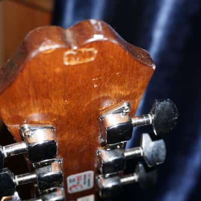 Epiphone FT-100CENA image 16