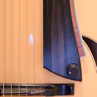 Grimes 35th Anniversary Archtop with 60's DeArmond 1100 Bild 3