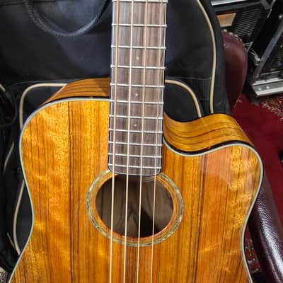 Fender Victor Bailey VB-2 acoustic bass guitar image 3