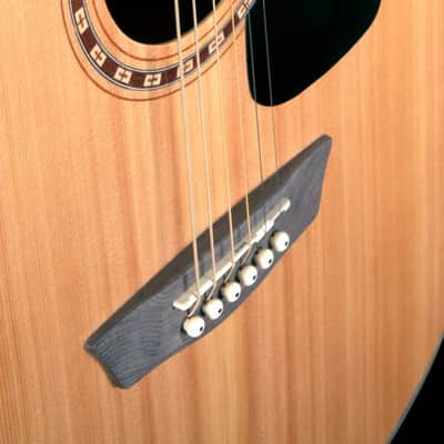 Washburn AD5CEPACK-A | Acoustic / Electric Dreadnought Guitar with Gigbag, Strap, Picks image 4