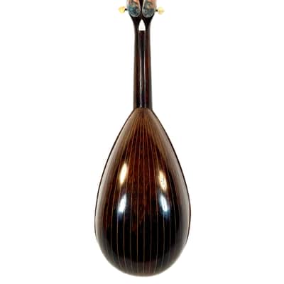 Gennaro & Achille Vinaccia Neapolitan Mandolin 1898 image 10