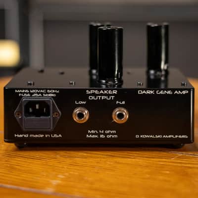 D. Kowalski Dark Gene .5W Mini Tube Amp - Used image 6