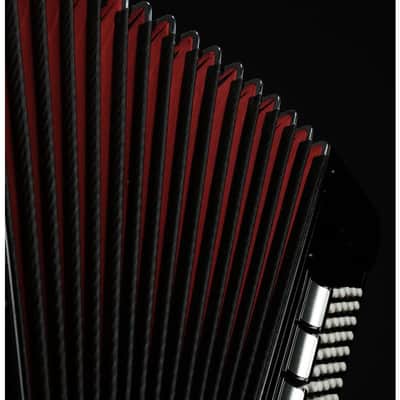 Weltmeister Cantus V 120 Bass Cassotto 5 chörig overhauled used image 6