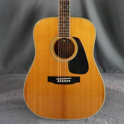 Morris MV-702 1980s - Natural MIJ Acoustic image 2