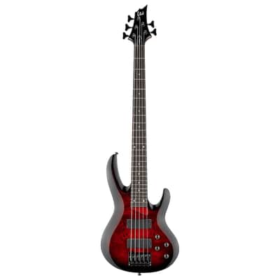 ESP LTD B-205DX