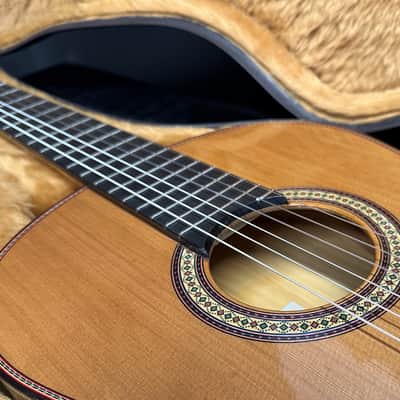 Manuel Adalid Homenaje - Cedar Double top/Solid Ziricoté back/sides - Handmade in Spain - 2025 image 16