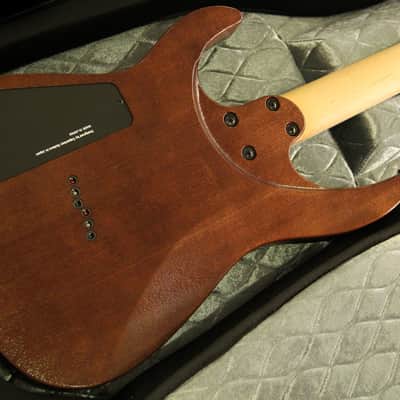 Caparison Dellinger II FX-WM  Natural image 9