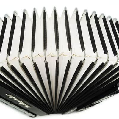 Weltmeister Consona Converter Free Bass Stradella German Piano Accordion New Straps Case 2119 Great Professional Accordion Gorgeous Sound image 6